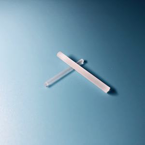 접착제 한쪽 끝에서 D2.8mm,L29mm 광학 유리 내시경 막대 렌즈 수리 <span class=keywords><strong>Storz</strong></span> 내시경 - Product Image 2