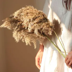 Blumen rohr im Boho-Stil schmückt den Boden des Wohnzimmers, um das Stück des großen Blumenstraußes der trockenen Blume zu platzieren. Künstliches Pampas gras