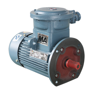 มอเตอร์ไฟฟ้าเหนี่ยวนำสามเฟสแบบป้องกันการระเบิด รุ่น YBX4-112M-4E ซีรีส์ IE3 ประสิทธิภาพสูง BT4 4KW จากโรงงานโดยตรง - Product Image 4