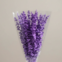 Vente en gros usine : Feuilles d'eucalyptus naturelles, véritables, séchées et préservées, teintes, pour plantes suspendues, décoration maison et mariage