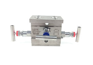 ท่อไฮดรอลิกสแตนเลส316พร้อมวาล์วเข็ม3ทาง - Product Image 2