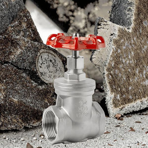 Katup Gerbang Sekrup Manual Stainless Steel Berkualitas Tinggi, Ulir Betina, DN15 1/2 inci BSP, Pengiriman Pabrik CNJS - Product Image 3