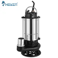 High Flow Stainless Steel Submersible Sewage Pump, 220V
