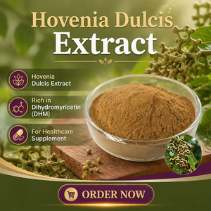 Poudre d'extrait naturel de dihydromyricétine (<span class=keywords><strong>DHM</strong></span>) – Extrait de plante médicinale traditionnelle Hovenia Dulcis - Product Image 1