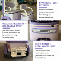Petit tricycle électrique avec toit, véhicule électrique à trois roues multi-passagers pour les trajets quotidiens en famille