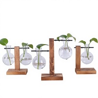 Vase en verre borosilicate de haute qualité, micro-paysage hydroponique créatif, support de fleurs, décoration, bonsaï charnu