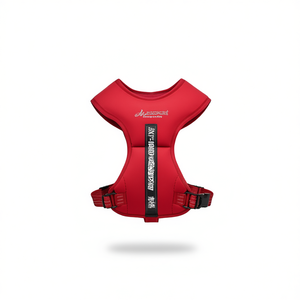 Imbracatura per Animali Domestici a Doppio Strato in Nylon con Imbottitura in Schiuma per Petto e Schiena, Vestibilità Premium e Confortevole per il Tuo Amico Peloso - Product Image 1