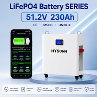 Batteries solaires LiFePO4 Hysonn Factory Direct 51,2 V 48 V 230 Ah 11 kWh, montables au mur/sur le sol, pour le stockage d'énergie domestique