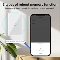 Touchez l'interrupteur mural. Norme américaine, norme australienne, norme brésilienne, WiFi + RF433 modèle 120, Alexa sans fil (un seul câble).