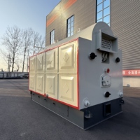 Ketel Uap Paket Rantai DZL dengan Kapasitas Evaporasi 1-20t/jam, Tekanan Terukur 0.7-1.6MPa, Ketel Industri Berbahan Bakar Batubara & Biomassa