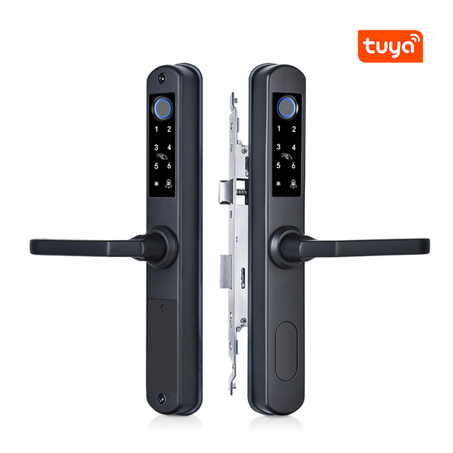 For Eseye Factory Wholesale Smart Life Digital Electronic Keyless Sliding Door Lock for Wood Aluminum Steel WiFi Network
