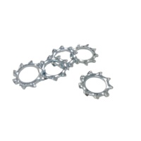 DIN6797A M22 Serrated Star Washer 304 Stainless Steel External Tooth Anti-Loosening Washer