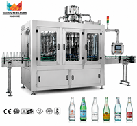 Machine de remplissage et d'embouteillage automatique de boissons gazeuses en bouteilles de verre de 500 ml et 1000 ml, 10000 BPH, prix d'usine avec certification CE