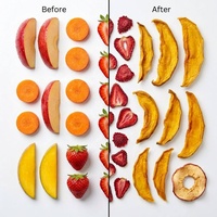 304 roestvrijstalen dienblad fruitdrogermachine voor appel, banaan, mango, groente, kruiden, droogapparatuur voor huisdierensnoepjes
