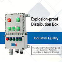 Boîtier de distribution d'énergie antidéflagrant pour l'industrie chimique et minière (ATEX) - Qualité industrielle 220V/380V 16A, construction en acier, fabriqué en Chine