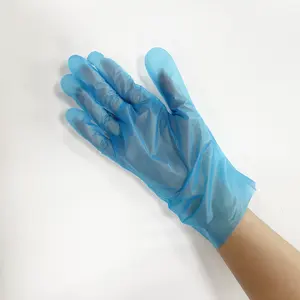 Food Grade Household Gloves LDPE / HDPE / CPE / PE / TPE Customized Hygiene Non Toxic Gloves