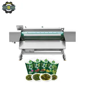 Jiahe Tea Continuous Transmission Belt/Roller type vacuum sealer packaging machine Vertical/Free-standing/External Continuous