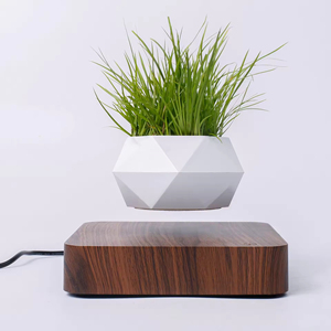 <span class=keywords><strong>Maceta</strong></span> Magnética <span class=keywords><strong>Levitante</strong></span>, <span class=keywords><strong>Maceta</strong></span> Flotante con Levitación Magnética para Decoración del Hogar - Product Image 1