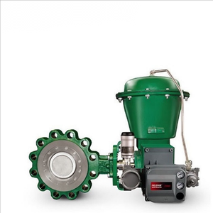 Vanne de régulation de débit sur skid avec vanne papillon EMERSON Fisher A11, actionneur 2052, positionneur DVC6200, régulateur de tension 67CF - Product Image 5