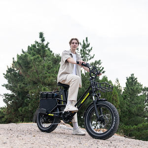 KOOLUX 2026 Nouveau Vélo Électrique Pliant Tout-Terrain à Pneus Larges 20 Pouces Moteur Sans Balais 250W Freins à Disque 45km/h pour Adultes - Product Image 4