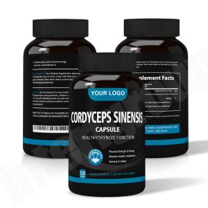 Ausreson Cordyceps Cápsulas de hongos Extracto de sinensis Suplemento OEM Extracto de hierbas Cordyceps Cápsulas de hongos - Product Image 3