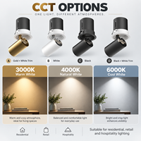 Lampu Sorot Tersembunyi yang Dapat Ditarik, Lampu Plafon LED Berperingkat IP54, Aluminium 7,5 Cm, Cocok untuk Dinding Latar Belakang Aula Pameran