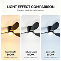 Nouvelle arrivée : Ventilateur de plafond noir avec base en fer, abat-jour en acrylique LED, moteur silencieux DC, ventilateur de plafond LED