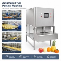 Industriële mango-perzik-sinaasappel-citroen-persimmon-appel automatische fruitenschiller ananas-schilmachine