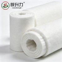 Géotextile non tissé en filament de polyester WSL pour la séparation et le drainage des chaussées d'autoroute, et la prévention des glissements des talus routiers