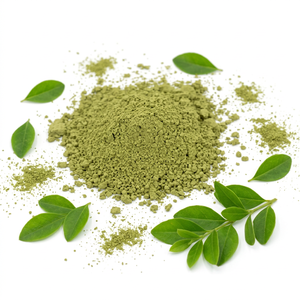 Gingerly Naturals, Exportador de Henna Vegana al por Mayor para Maquillaje Permanente y Arte Corporal, 50 kg MOQ, desde India - Product Image 1