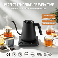 Bouilloire électrique 1,0 litre 1200W, chauffe rapide, base tactile, affichage de la température en temps réel, maintien au chaud 30 min, acier inoxydable