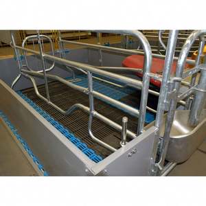 Hot Sale Modern and Comfortable Pig Farm Equipment Farrowing Crates for Sows - Product Image 4