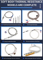 Sonde de température à capteur RTD (PT50, CU50, PT100, PT1000) à quatre fils, -200-420°C, pour applications chimiques, en acier inoxydable SS316
