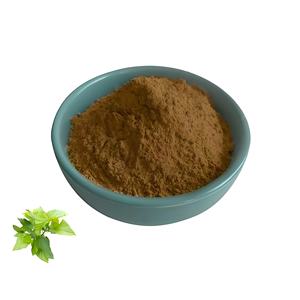Poudre d'extrait de feuille de mûrier Morus Alba Leaf Extract DNJ 5% White Mulberry Extract Premium Blood Sugar Support - Product Image 3