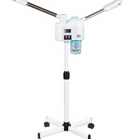 Mini Vaporisateur Facial Professionnel Électrique 800W 650ml Chaud/Froid Ionique Ozone Humidificateur Nettoyage des Pores Rajeunissement de la Peau