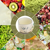 Ensemble de Matcha de style chinois nouveau, peint à la main, en céramique Dehua, avec Fouet à Matcha Bambou de la Fortune, Bol à Matcha et Support pour Chasen