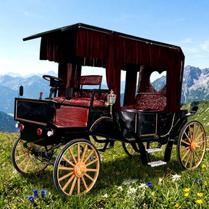 Charrette à Chevaux Électrique Vintage de Luxe pour la Ville – Véhicule de Loisirs et de Tourisme – À Vendre - Product Image 1