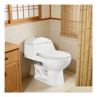 WC monobloc 3/6L à économie d'eau, design siphonique à double chasse, 300 mm, pour l'Amérique latine