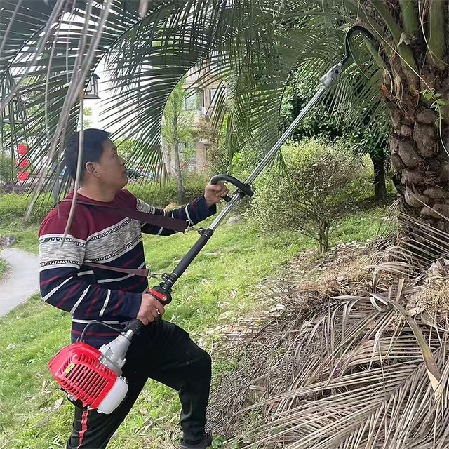 Supplier Wholesale Price African Agricultural Brush Cutters/petrol Brush Cutter/grass Cutting Machine for Farmer