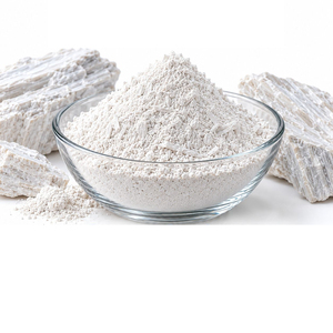Poudre de Wollastonite, Silicate de Calcium Naturel pour Applications Industrielles, Matériau de Remplissage à Haute Luminosité pour le Renforcement - Product Image 3