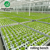 Serre agricole multi-travées Hangdi Tidal Seedbed - Structure stable en alliage d'aluminium galvanisé à chaud pour fleurs et légumes