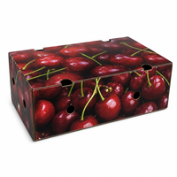 Boîte d'emballage en carton ondulé robuste à extrémités ventilées pour citrons, carton d'expédition empilable pour agrumes frais, idéal pour l'exportation maritime