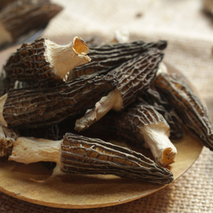 Achetez <span class=keywords><strong>des</strong></span> champignons <span class=keywords><strong>morilles</strong></span> cultivés séchés de qualité supérieure en gros - Product Image 5