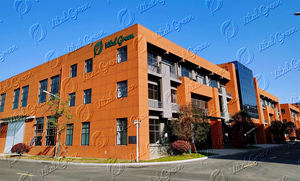 Vital Green China, Extracto de Hongo Reishi (Ganoderma Lucidum) Orgánico en Polvo con 30% de Beta Glucano - Product Image 4