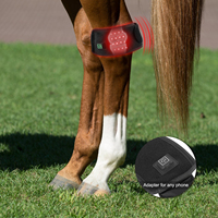 Appareil portable de photothérapie par lumière infrarouge proche pour le soulagement de la douleur des sabots et des hooves des chevaux