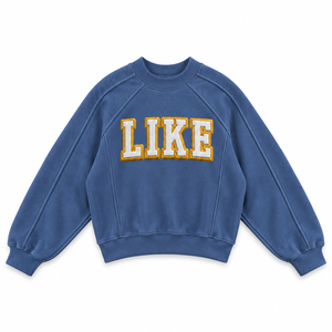 <b>Blue</b> <b>Women</b> Hoodie 100% Cotton Washed Pullover Sweatshirt Embroidered Letter Crew Neck Winter Streetwear - Product Image 1