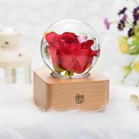 Boule de Cristal Petite Veilleuse Base en Bois Fleur Éternelle Rose Spécimen Lumineux Résine Artisanat