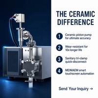 Machine de remplissage semi-automatique à pompe à engrenages pour liquides, en acier inoxydable 304, certifiée CE, avec conception anti-fuite, pour mayonnaise, purée de pommes de terre et boissons