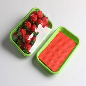 PE Film Cellulose Pulp <b>Material</b> High Quality Fresh Fruit Absorbent Pad for Food <b>Pack</b> - Product Image 6