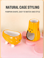 Baignoire en céramique artisanale en forme de citrouille d'Halloween, facile à nettoyer, avec abri et support pour bouteille d'eau, pour hamster, petaur d'Inde, écureuil volant